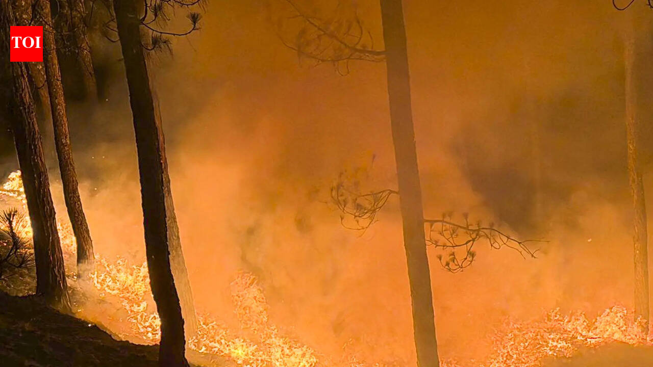 Forest dept braces for difficult 2027 fire period amid El Nino fears