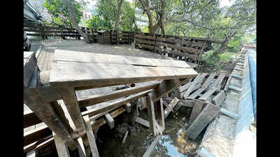 Architect who designed mangrove boardwalk offers to repair it, run it for the city
