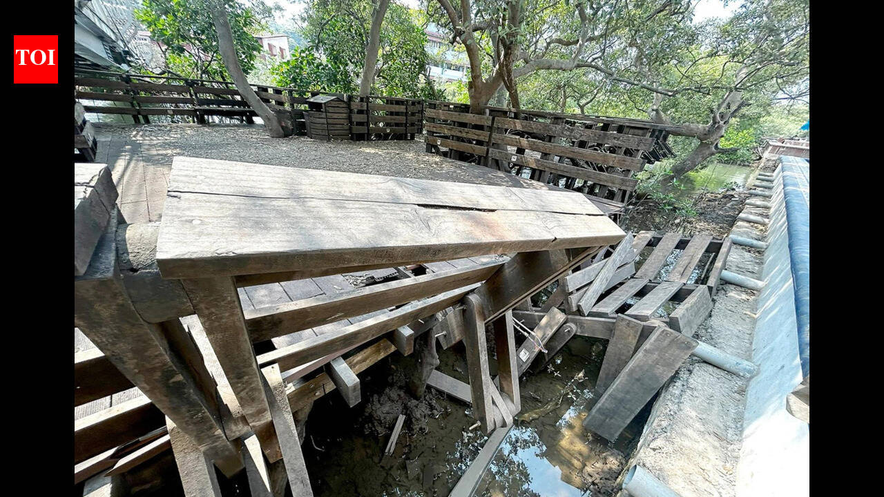 Architect who designed mangrove boardwalk offers to repair it, run it for the city