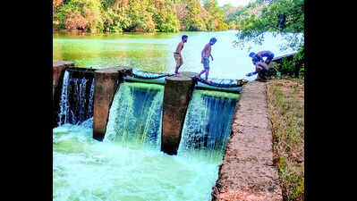Augmentation of Khandepar river with Selaulim dam water resumes