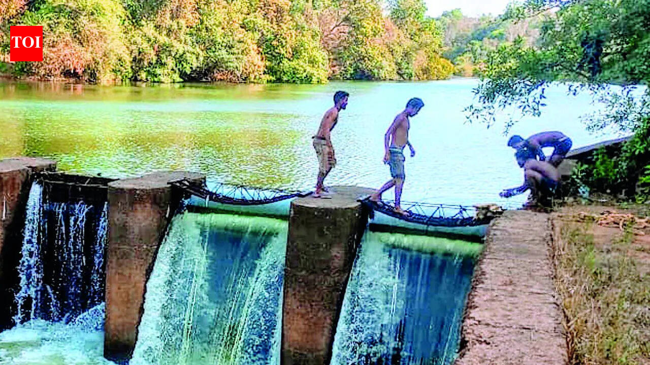 Augmentation of Khandepar river with Selaulim dam water resumes