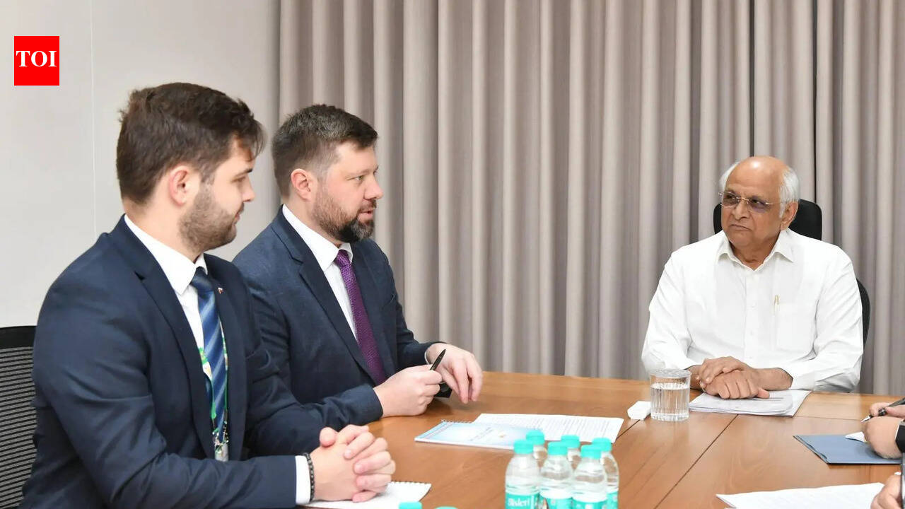 ‘Russia keen to collaborate with Gujarat in maritime sector’