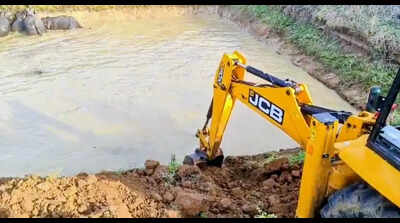 Kamothe lake in Navi Mumbai loses major part to reclamation project