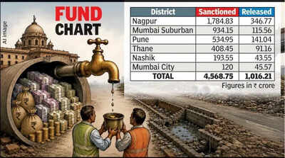 NMC Receives Rs235Cr Against Rs490Cr Sought For Infra Projects