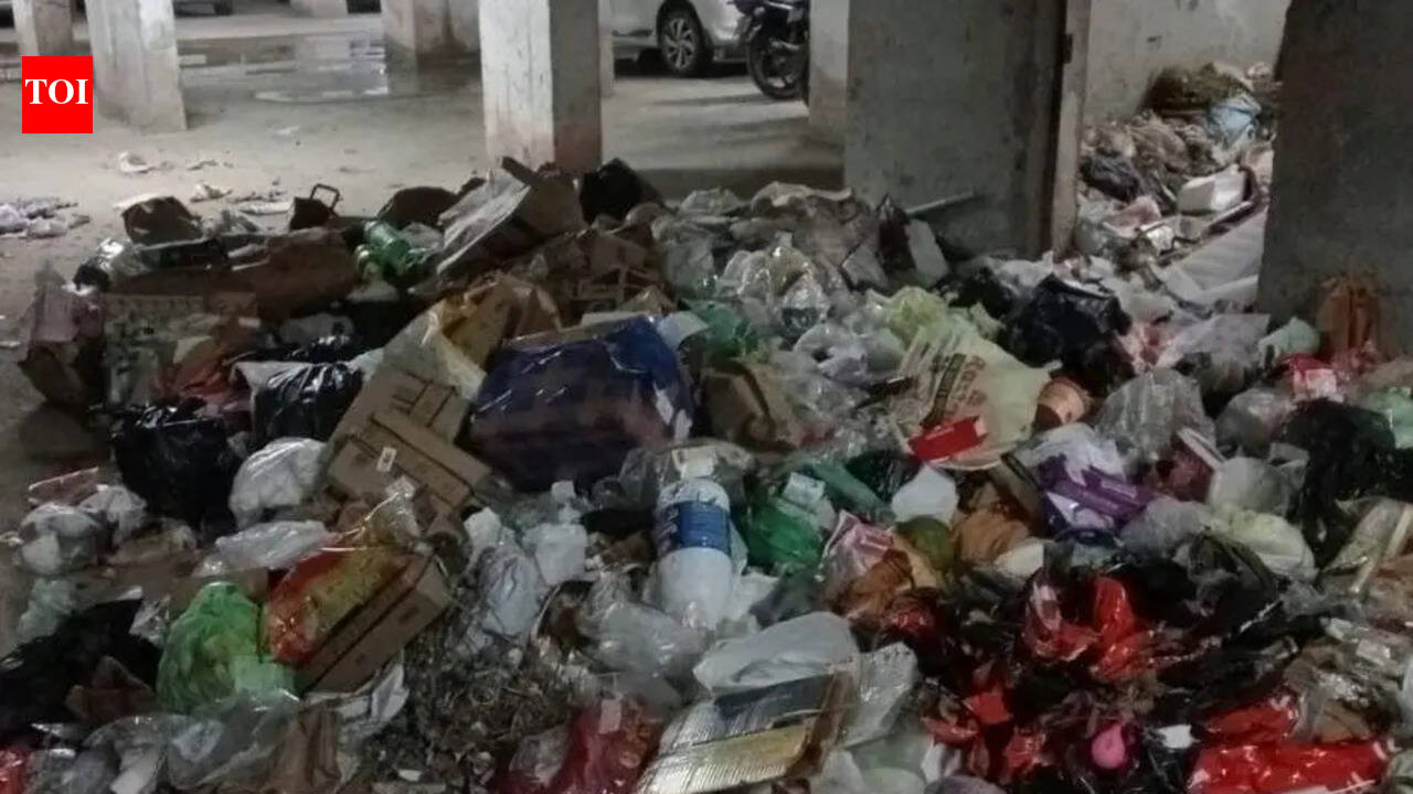 Waste pickup stops in Manesar after row; want cleanliness to be restored, but not at cost of our employees: Agency