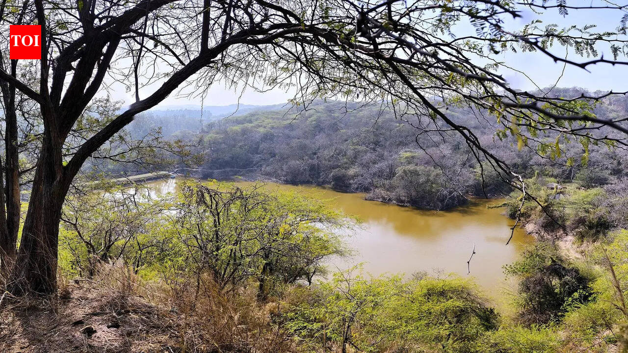 Sukhna wildlife survey confirms adult leopards, bird species count doubles