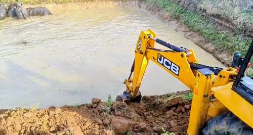 Kamothe lake in Navi Mumbai loses major part to reclamation project