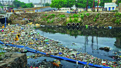 SC amicus proposes nodal agency, inter-state action plan to clean Yamuna
