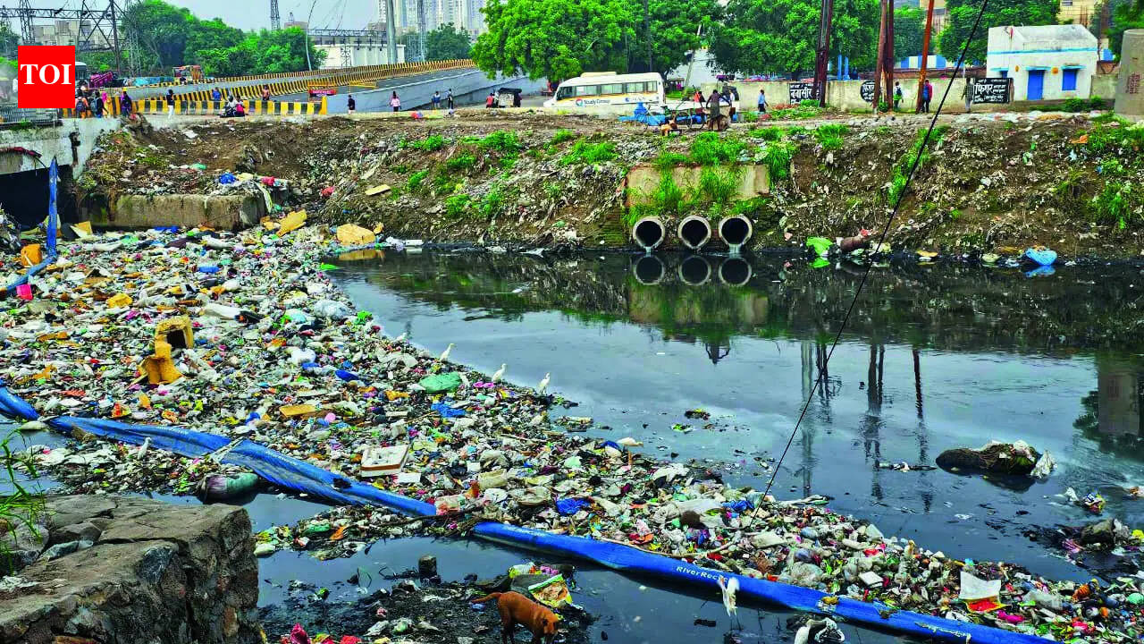 SC amicus proposes nodal agency, inter-state action plan to clean Yamuna