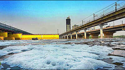 SC amicus proposes nodal agency, inter-state action plan to clean Yamuna