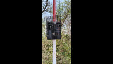 40 CCTV cameras to ensure road safety on Valparai ghat road