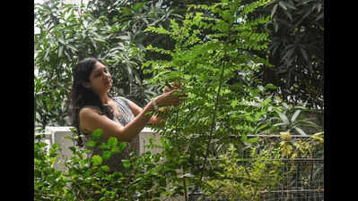 Nagpur preserves endangered plant species to maintain ecological balance