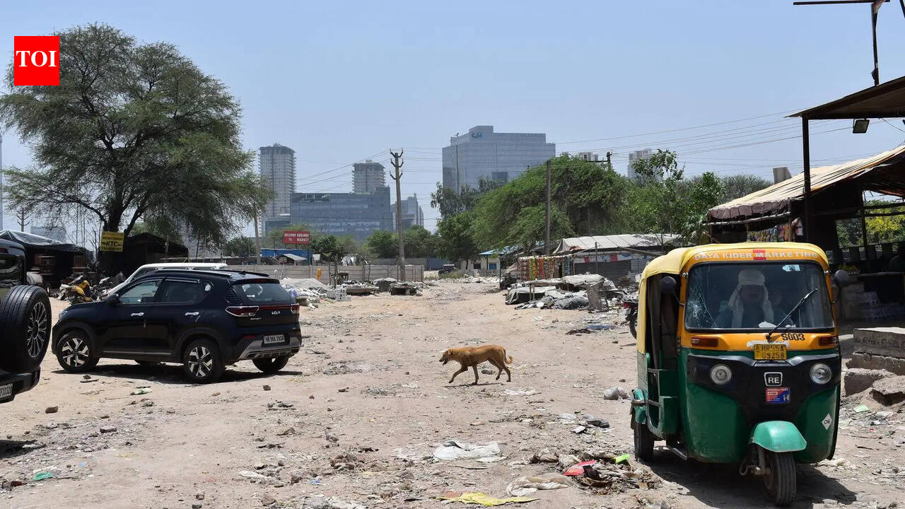 Land handed 2 years ago, burial ground in Gurgaon Sector 58 still lacks an approach road