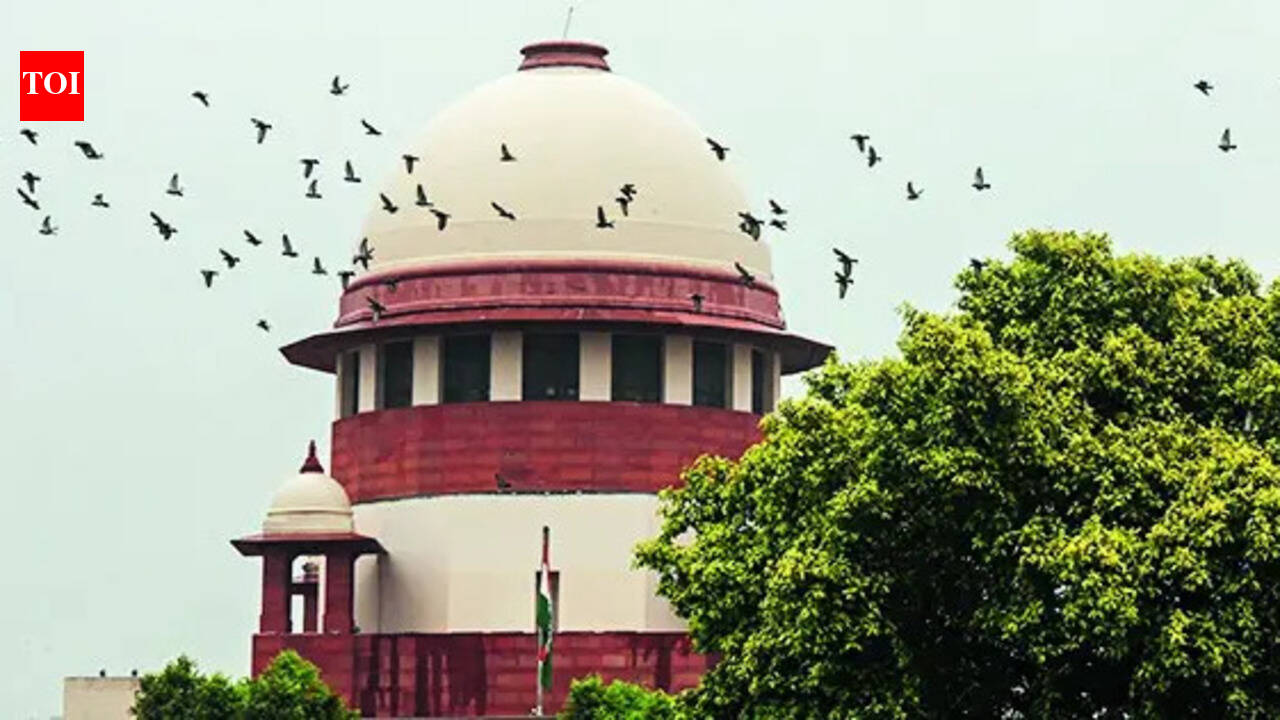 Would Kasab have been given bail over trial delay? Government to SC over UAPA debate