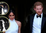 Meghan Markle's photos reveal Prince Harry's "biggest hatred"