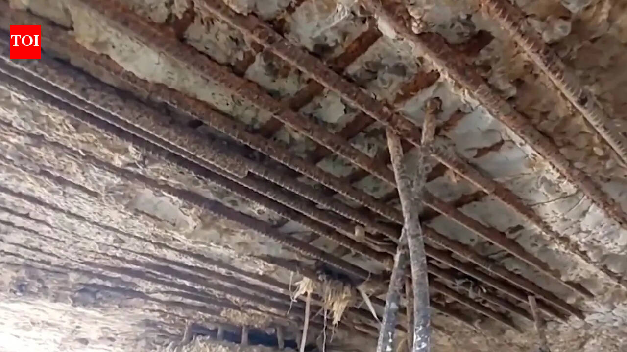 Rs 64 crore Keni bridge in Bihar shows exposed iron rods, damaged ...
