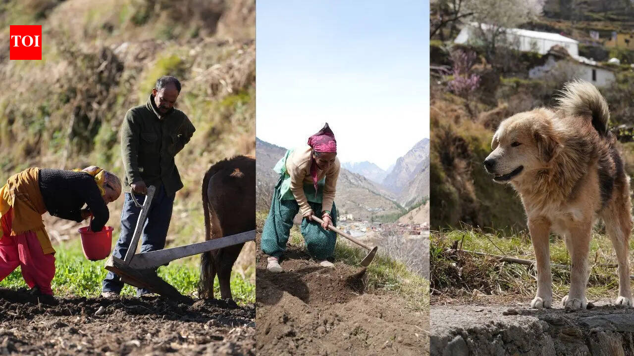 ‘Beauty alone cannot feed family’: Why Uttarakhand’s villages are falling silent