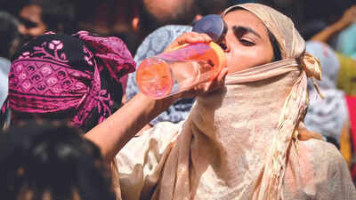Heatwave kills 16 in Telangana, minister announces Rs 4 lakh ex-gratia