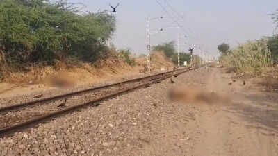 3 Camels killed after hit by passenger train near Jaisalmer