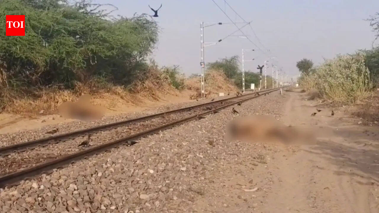 3 Camels killed after hit by passenger train near Jaisalmer