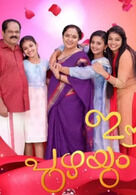 Ee Puzhayum Kadannu: Here's everything you need to know about the family drama