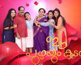 Ee Puzhayum Kadannu: Here's everything you need to know about the family drama