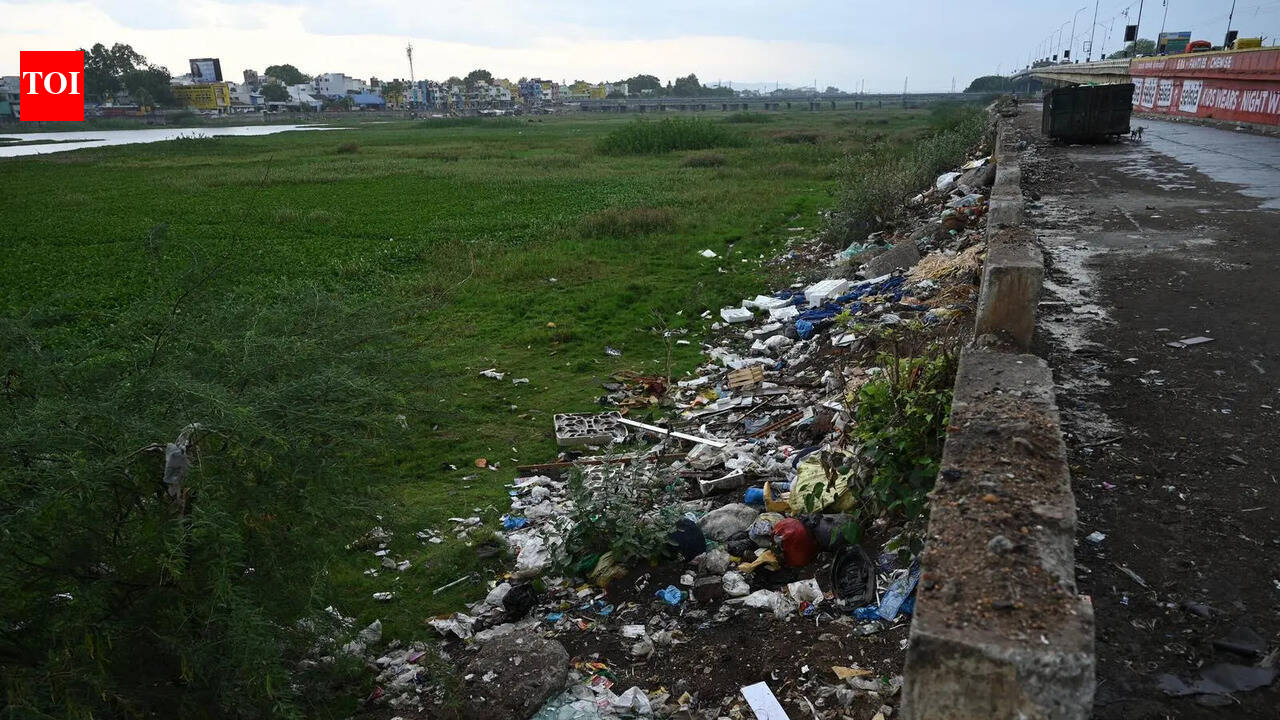 Waste dumping, burning along Vaigai banks raise pollution concerns in Madurai
