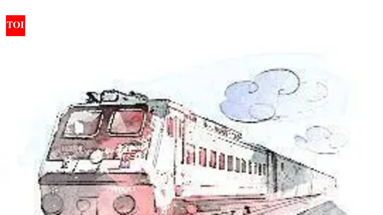SWR extends service of summer special trains