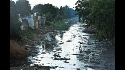 Canal pollution, mosquito menace raise health concerns ahead of monsoon in Vijayawada