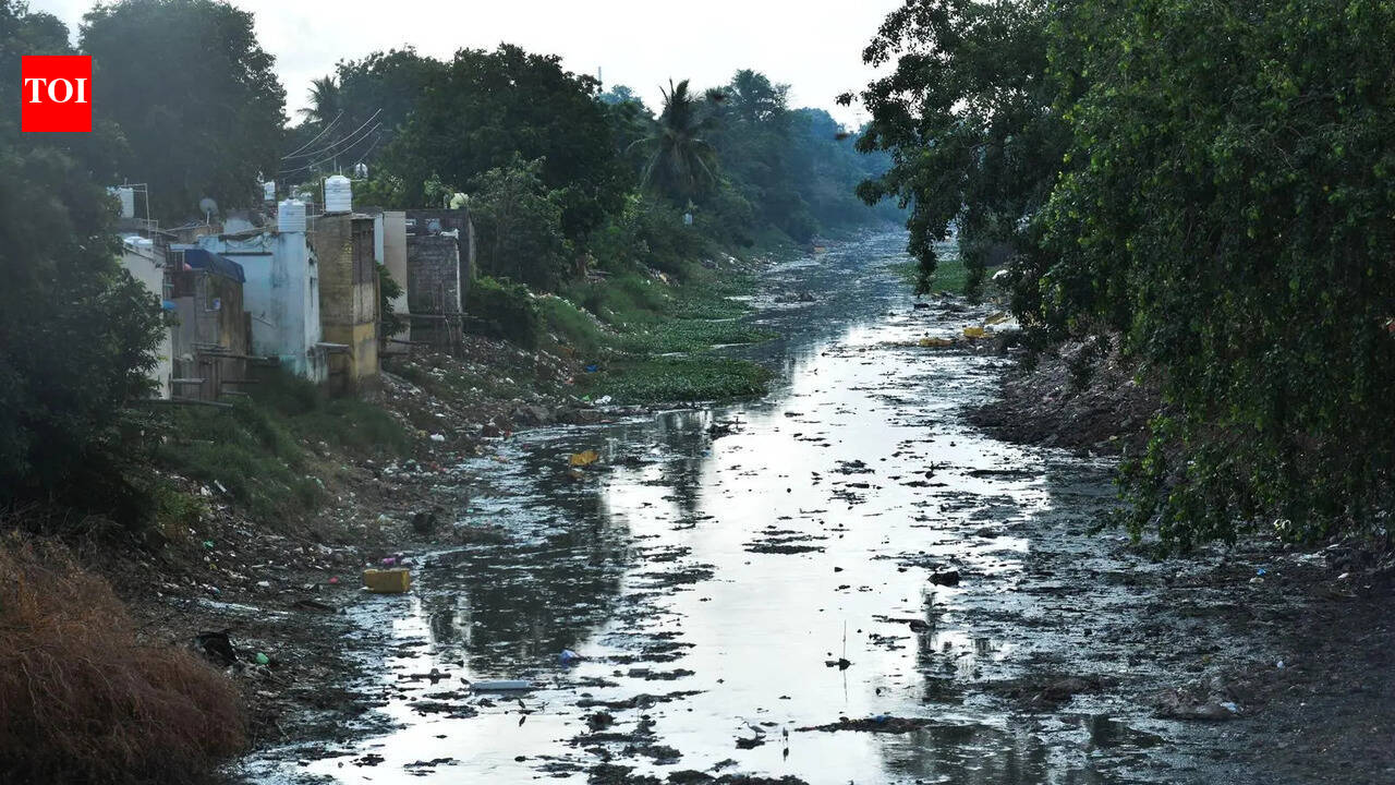 Canal pollution, mosquito menace raise health concerns ahead of monsoon in Vijayawada