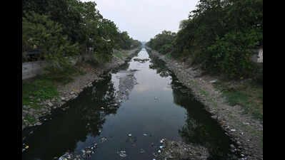 Canal pollution, mosquito menace raise health concerns ahead of monsoon in Vijayawada