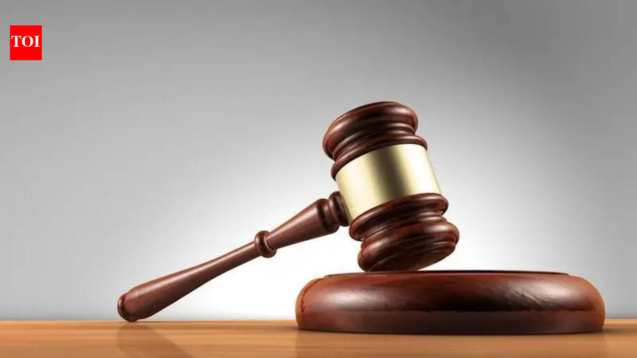 HC pulls up authorities over poor condition of Hindustan-Tibet Border Road
