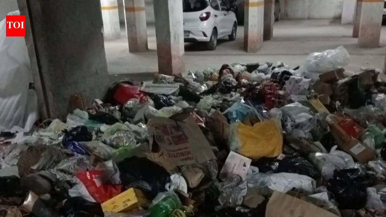 Plaints &amp; garbage piles mount, doorstep collection in Manesar to resume today
