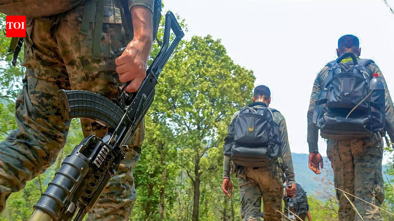Gunfight breaks out in J&amp;K's Rajouri during search operations