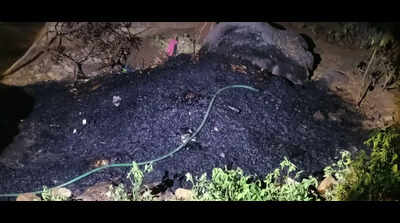 Minor fire at KBR Park, none injured