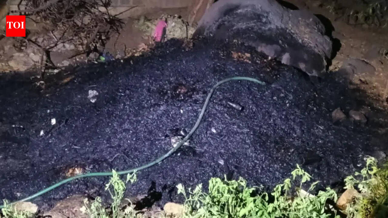 Minor fire at KBR Park, none injured
