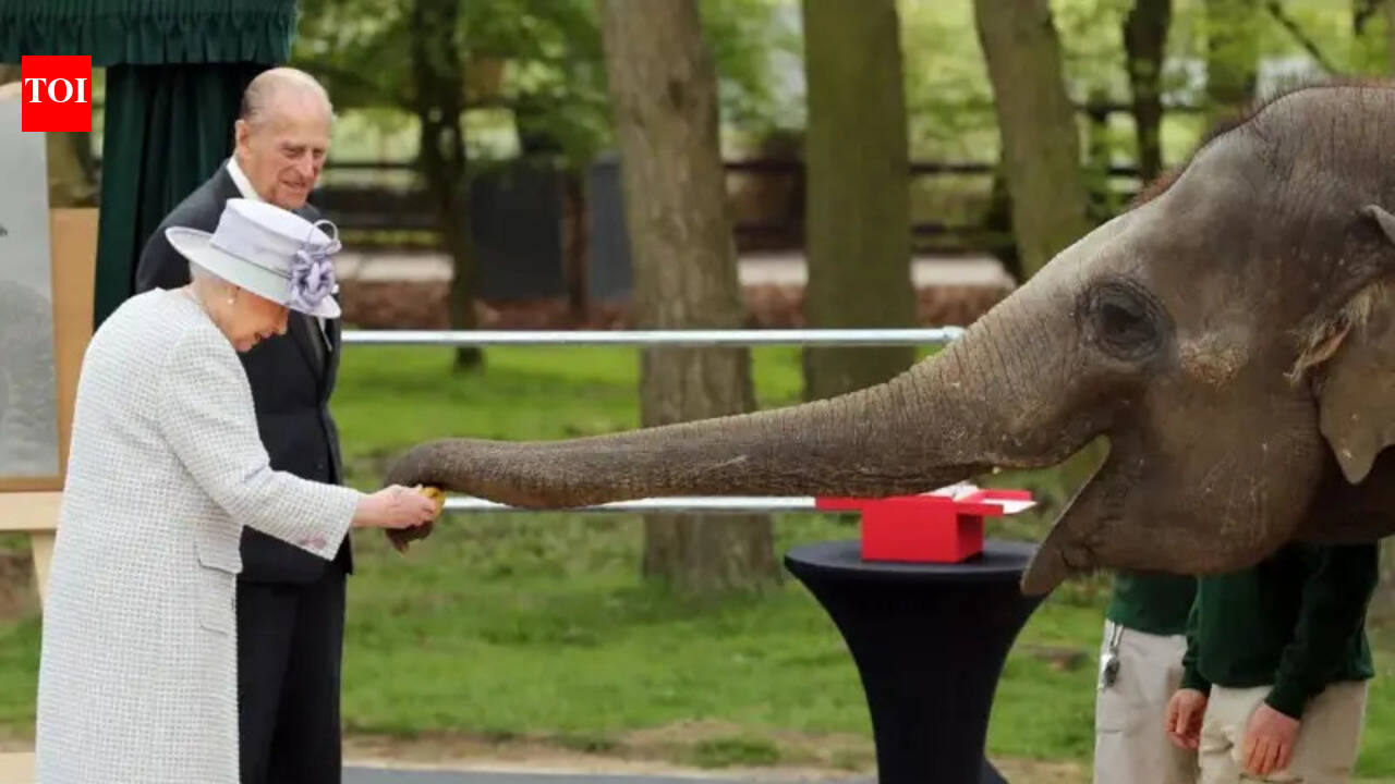 Why Queen Elizabeth and Prince Philip’s elephant-feeding moment still charms people