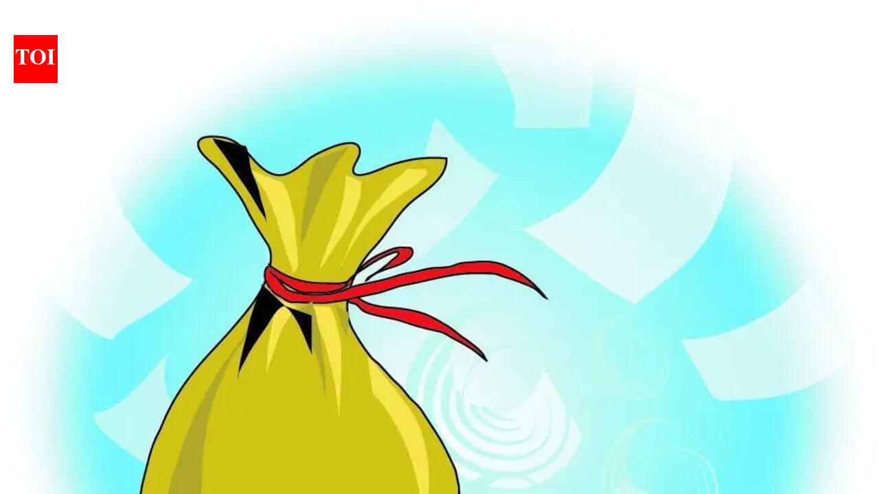 Guard, wife flee with Rs 25 lakh from Bengaluru employer’s house