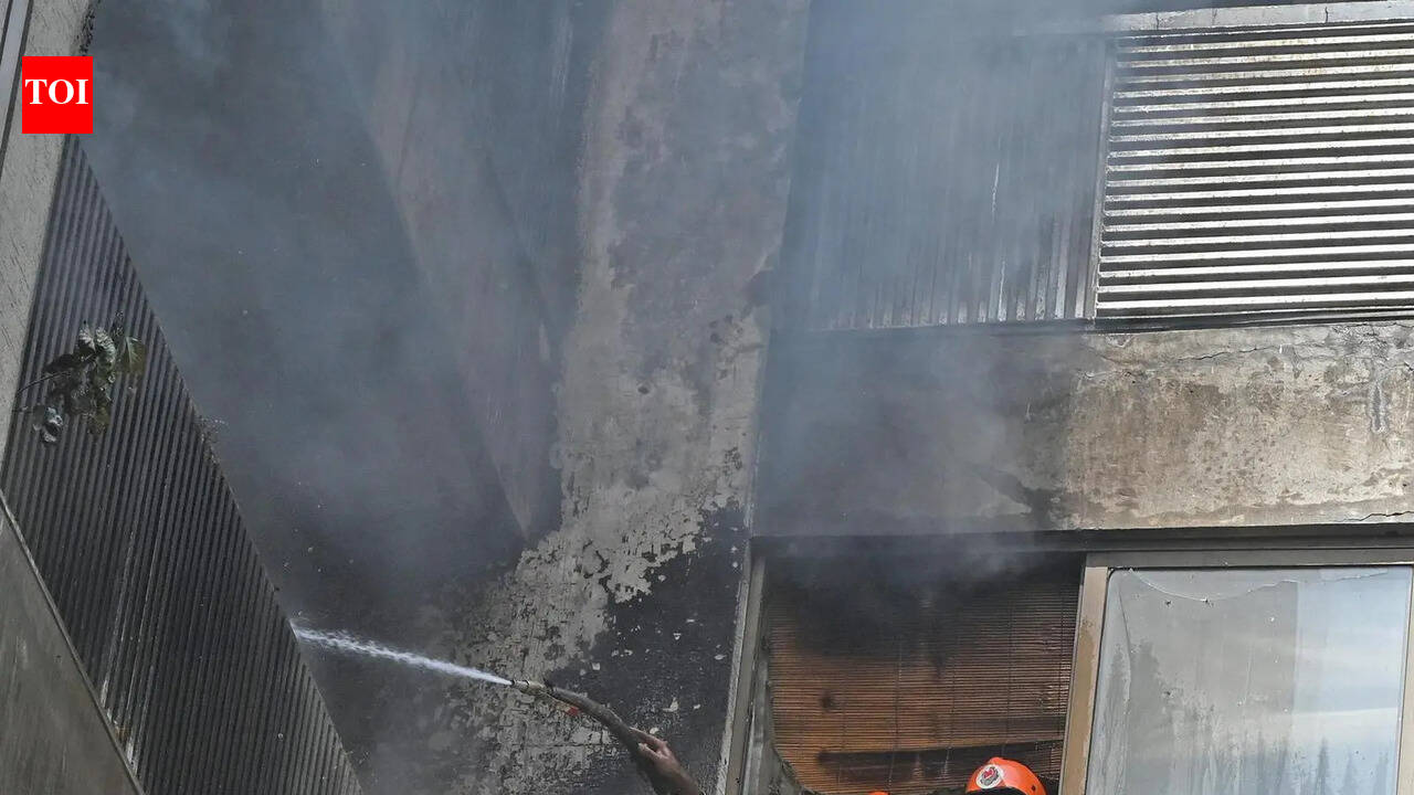 Body found a day after fire at Santej factory