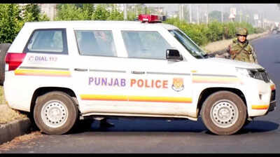 Woman injured in drunken brawl, case filed