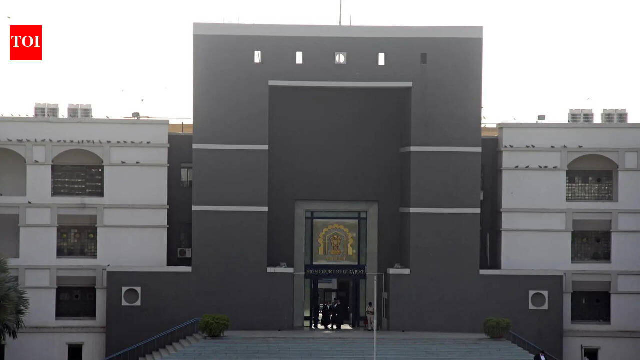 20-year-old moves Gujarat high court to replace stepfather’s name with biological father’s in certificates