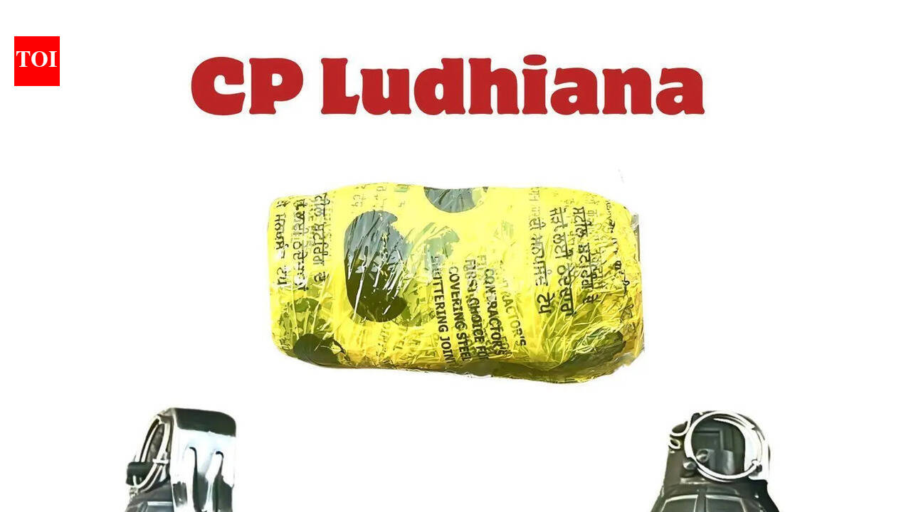 Foreign-guided ‘hitmen’ held; 2 grenades seized