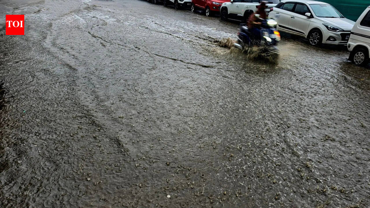 Strong El Niño may peak this year and weaken before India's 2027 monsoon, say meteorologists