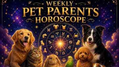 Weekly Pet Parents Horoscope, May 24 to May 30, 2026: What the stars say about your bond with your pets