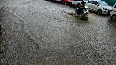 El Nino may crest this year, spare India’s 2027 monsoon