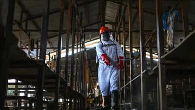 867 cases, 204 dead, no vaccine: Ebola outbreak spirals in DRC; Uganda closes border