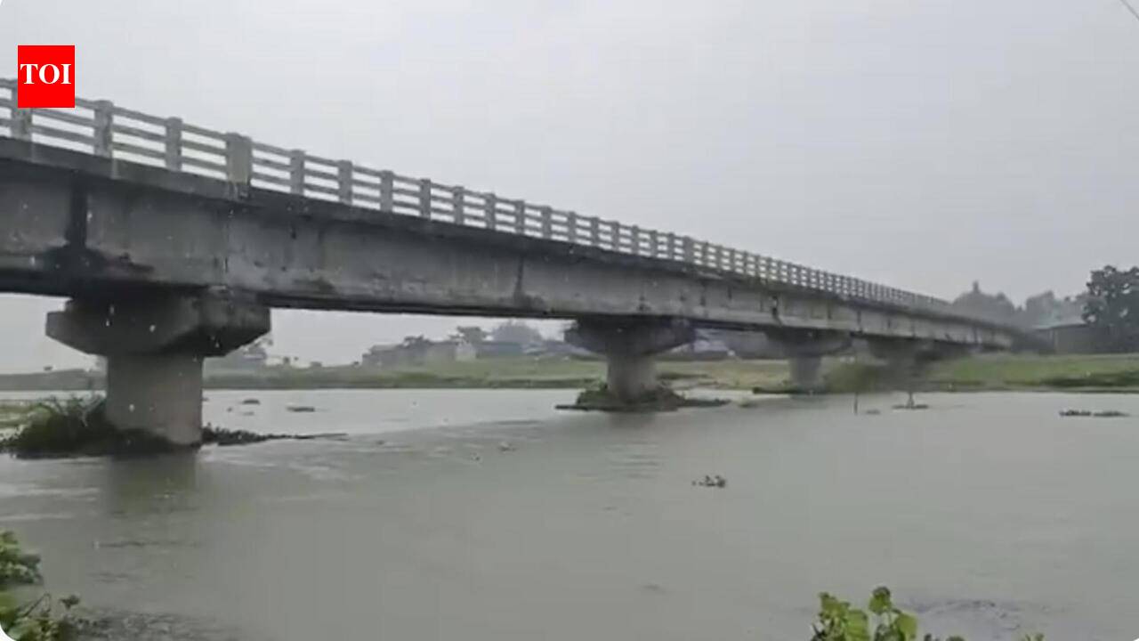 Cracks Surface On Bihar’s Araria Bridge After Pillar Subsides, Heavy ...