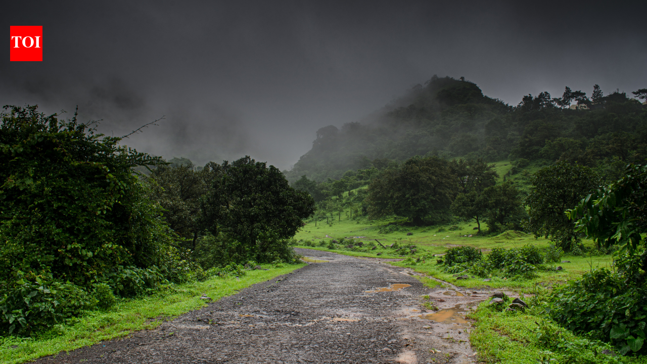 India’s most scenic monsoon road trips: safety tips travellers should know