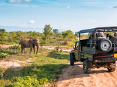 10 underrated wildlife destinations in Asia that are less crowded than popular safari parks