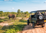 10 underrated wildlife destinations in Asia that are less crowded than popular safari parks